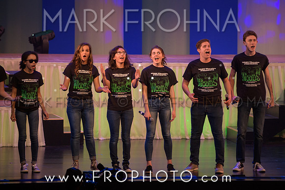Tommy Awards 2017 Verona Into the Woods-45