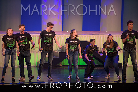 Tommy Awards 2017 Verona Into the Woods-44