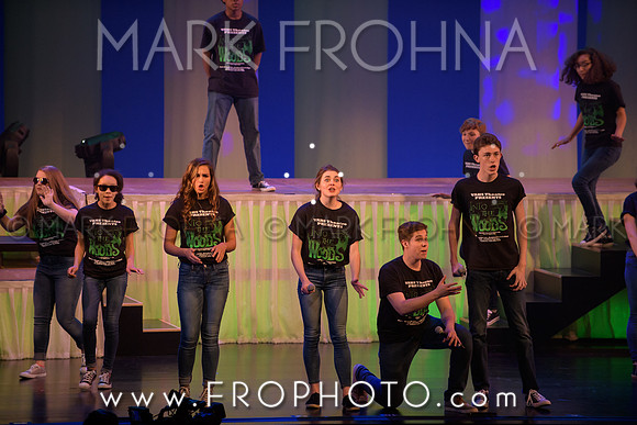 Tommy Awards 2017 Verona Into the Woods-41
