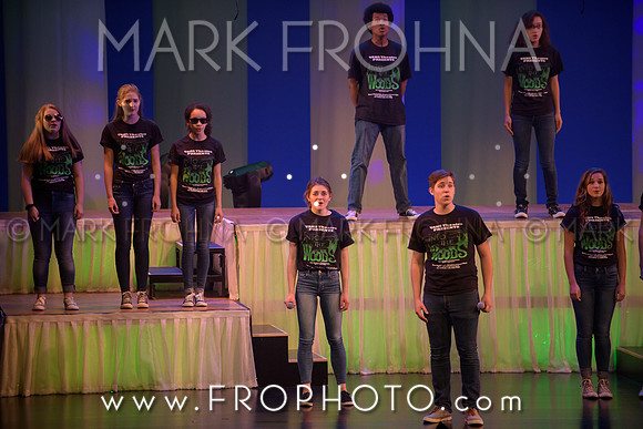 Tommy Awards 2017 Verona Into the Woods-38