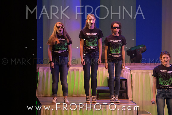 Tommy Awards 2017 Verona Into the Woods-39