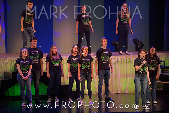 Tommy Awards 2017 Verona Into the Woods-37