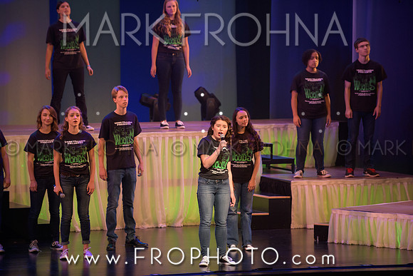 Tommy Awards 2017 Verona Into the Woods-36
