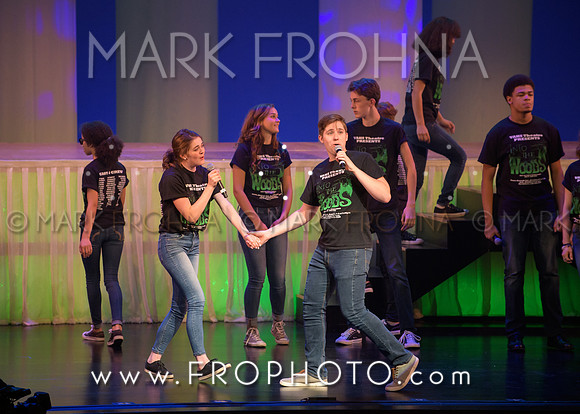 Tommy Awards 2017 Verona Into the Woods-35