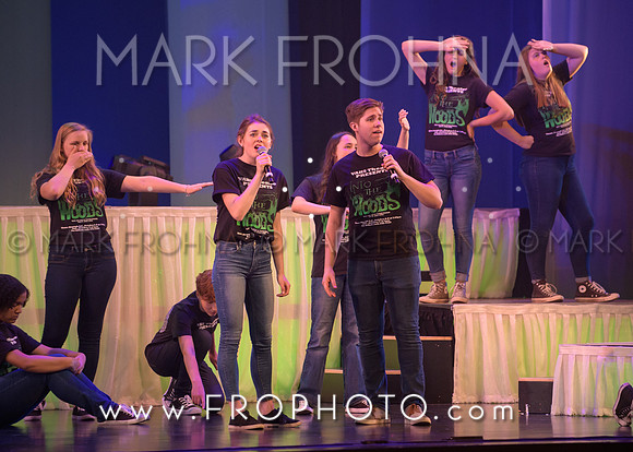 Tommy Awards 2017 Verona Into the Woods-10