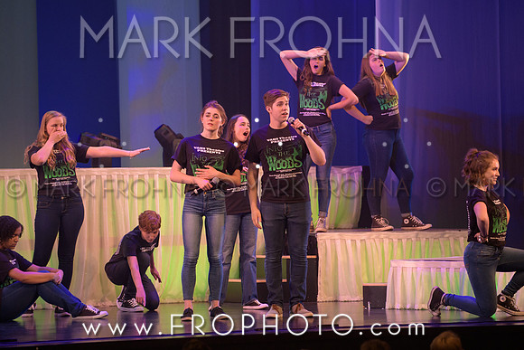 Tommy Awards 2017 Verona Into the Woods-8