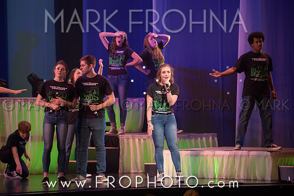 Tommy Awards 2017 Verona Into the Woods-3