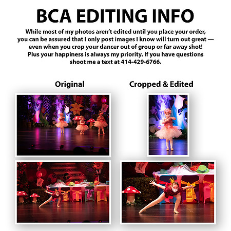 0 BCA Edit Info