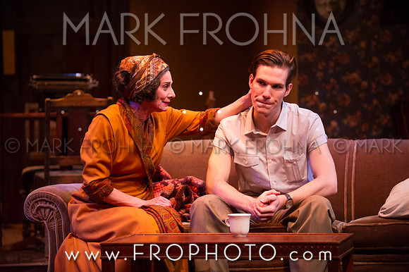 In Tandem Glass Menagerie-62