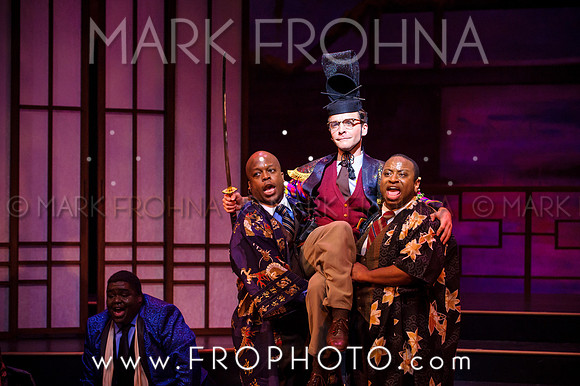 Skylight Hot Mikado Highlights-5