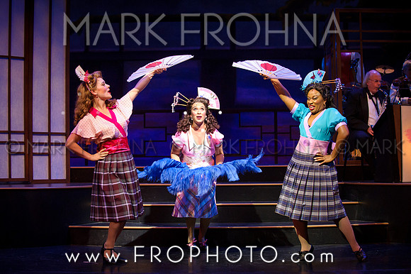 Skylight Hot Mikado Highlights-8