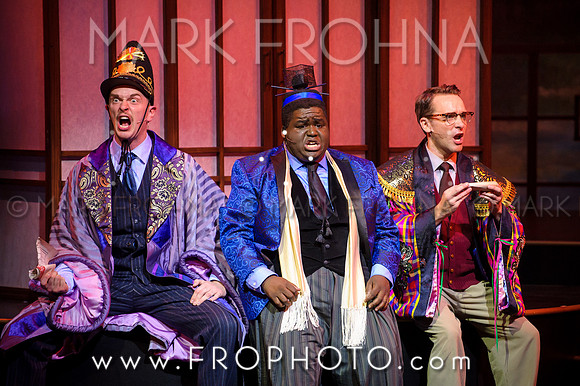 Skylight Hot Mikado Highlights-11