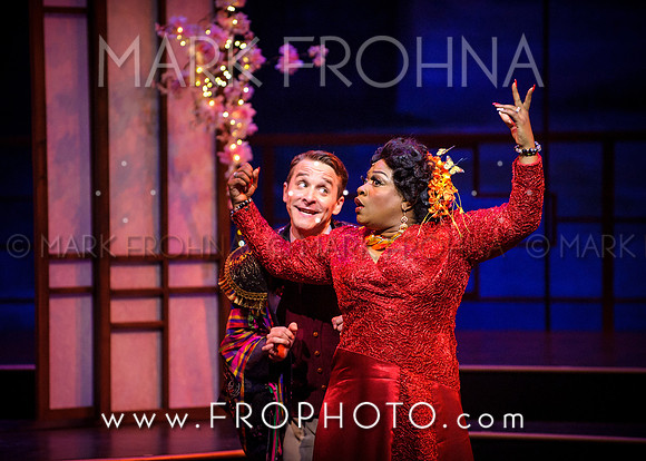 Skylight Hot Mikado Highlights-30