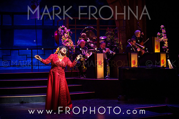 Skylight Hot Mikado Highlights-28