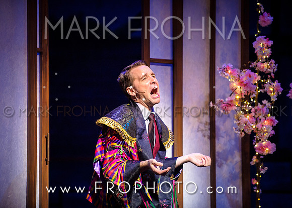 Skylight Hot Mikado Highlights-29