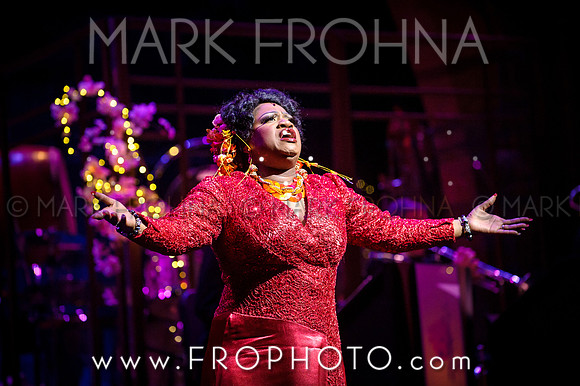 Skylight Hot Mikado Highlights-27