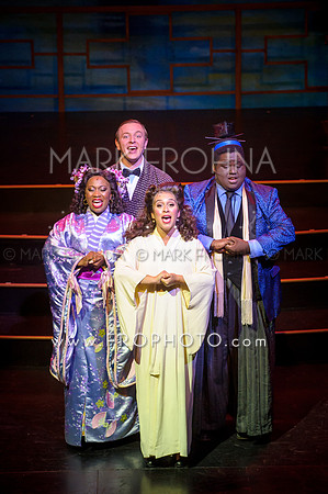Skylight Hot Mikado Highlights-51