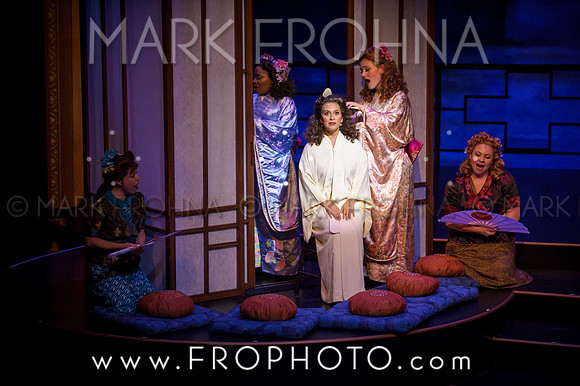 Skylight Hot Mikado Highlights-49