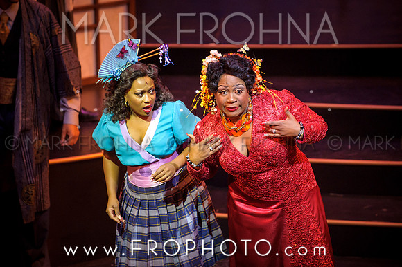 Skylight Hot Mikado Highlights-44
