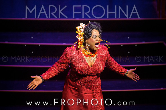 Skylight Hot Mikado Highlights-61
