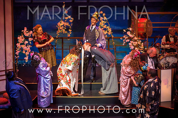Skylight Hot Mikado Highlights-53