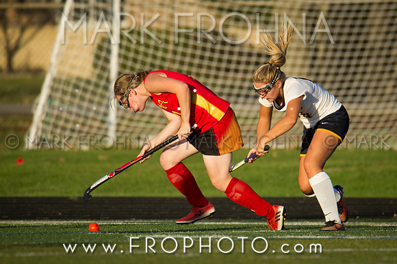 DSHA State Field Hockey 2017-60