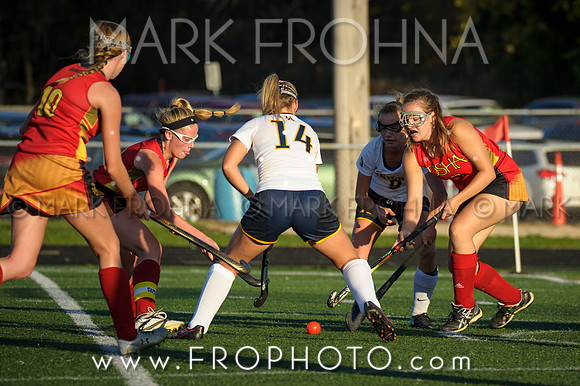 DSHA State Field Hockey 2017-55