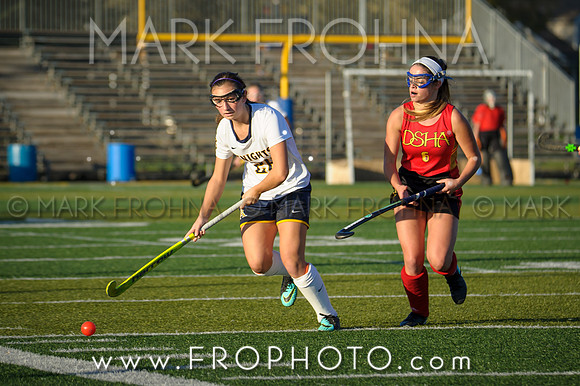 DSHA State Field Hockey 2017-51