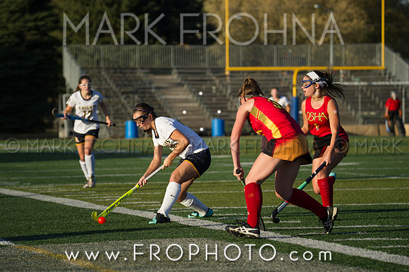 DSHA State Field Hockey 2017-52