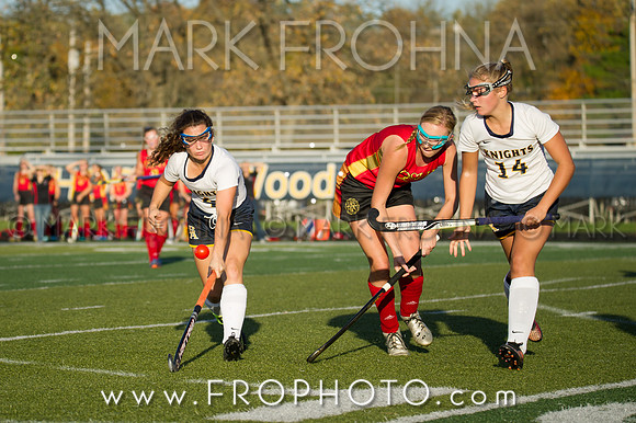 DSHA State Field Hockey 2017-50