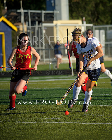 DSHA State Field Hockey 2017-47