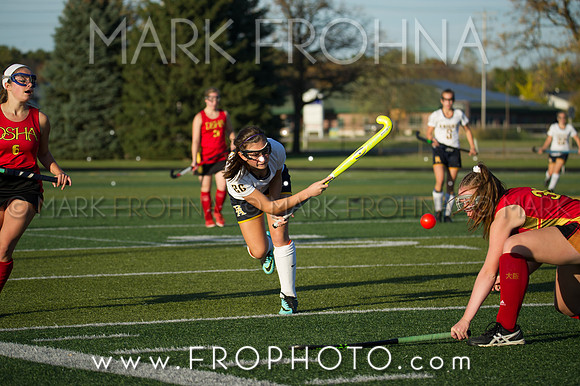 DSHA State Field Hockey 2017-48