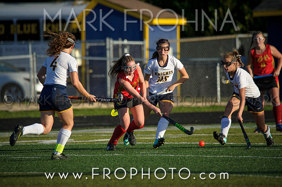DSHA State Field Hockey 2017-46