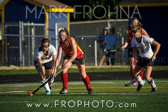 DSHA State Field Hockey 2017-45