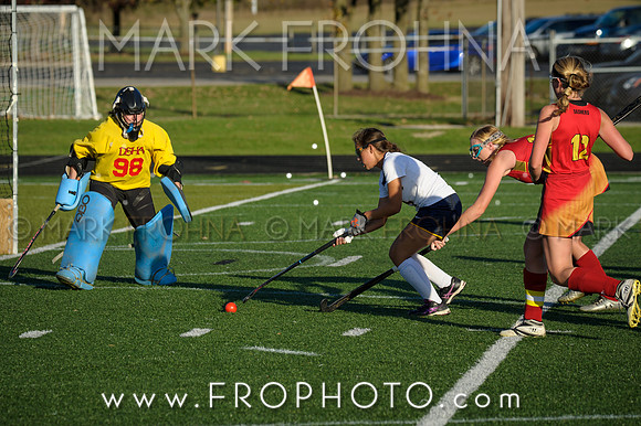 DSHA State Field Hockey 2017-41
