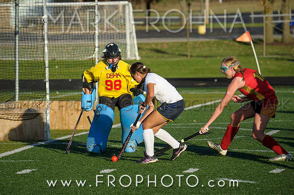 DSHA State Field Hockey 2017-42