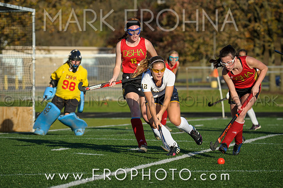 DSHA State Field Hockey 2017-40