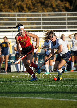 DSHA State Field Hockey 2017-39