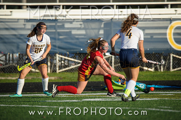 DSHA State Field Hockey 2017-34