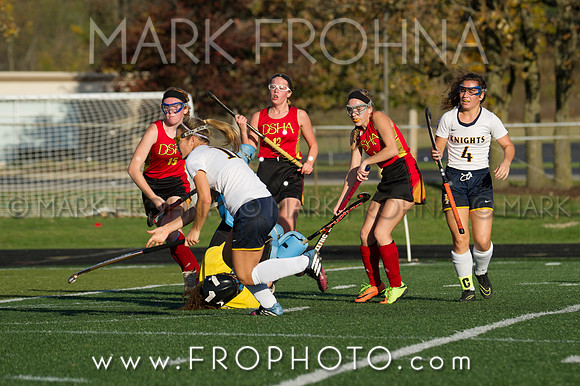 DSHA State Field Hockey 2017-35