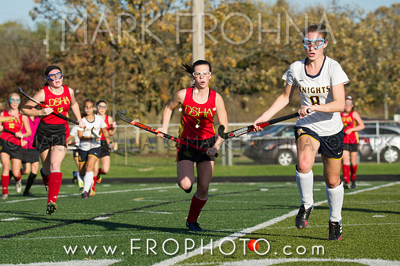 DSHA State Field Hockey 2017-32