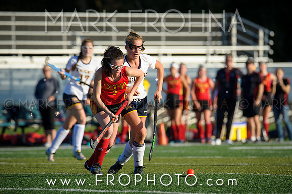 DSHA State Field Hockey 2017-30