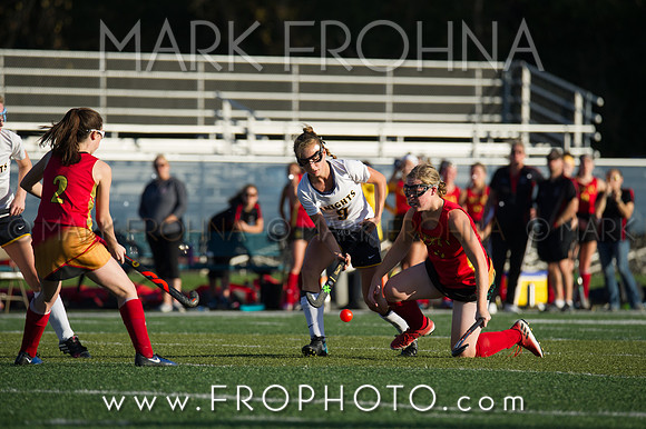 DSHA State Field Hockey 2017-29