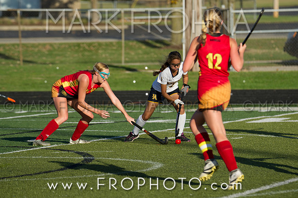 DSHA State Field Hockey 2017-24