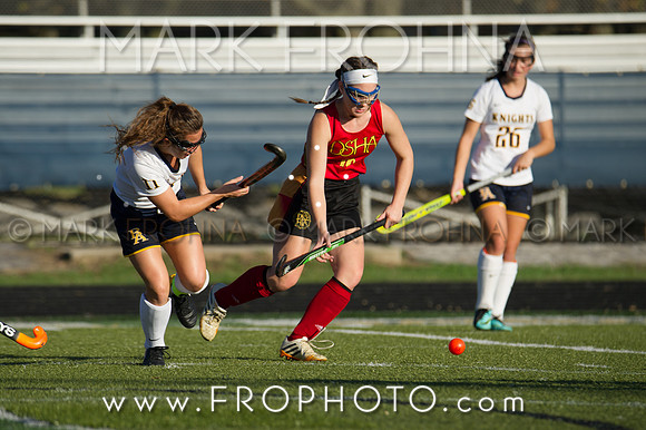DSHA State Field Hockey 2017-22