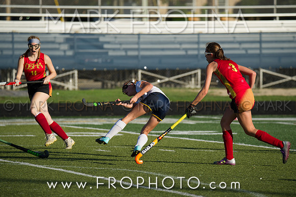 DSHA State Field Hockey 2017-20