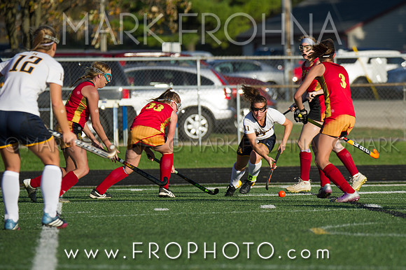 DSHA State Field Hockey 2017-21