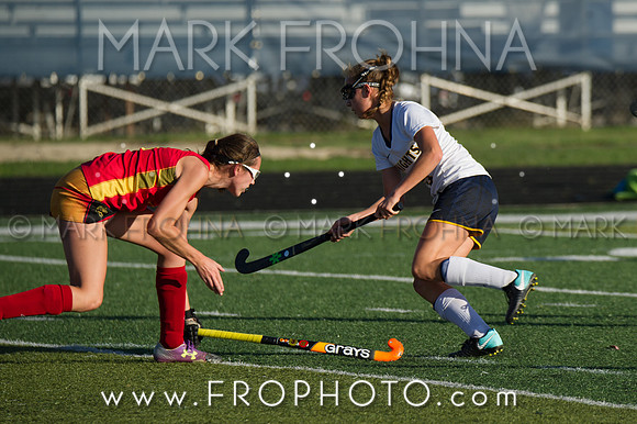 DSHA State Field Hockey 2017-19