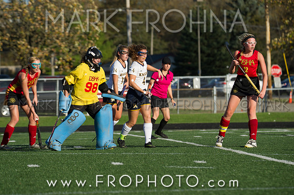 DSHA State Field Hockey 2017-16
