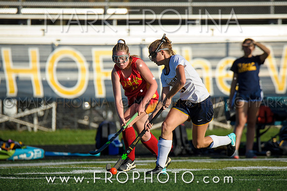 DSHA State Field Hockey 2017-11
